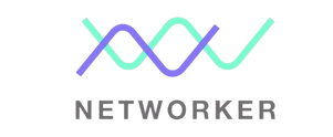 Net logo